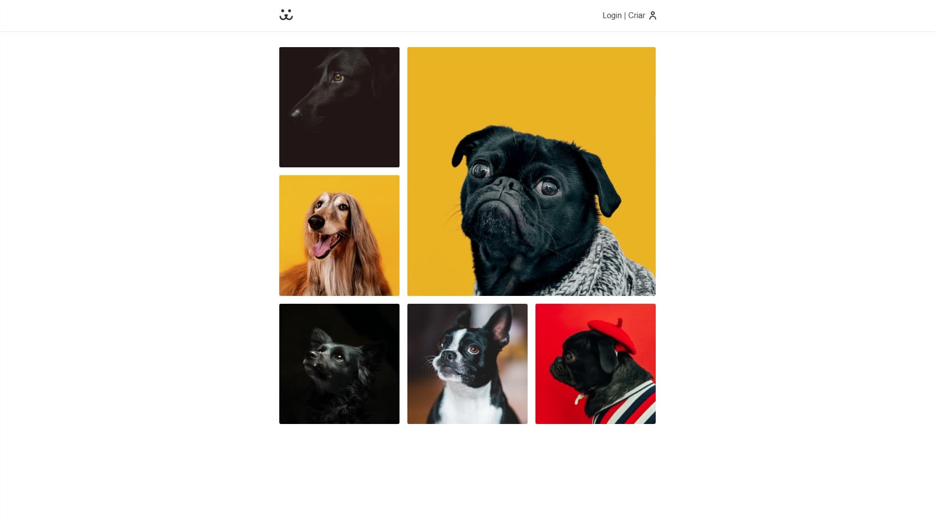 Dogs